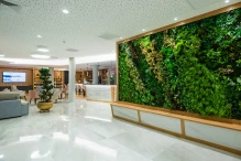 Hôtel intérieur mur végétal chaises canapé