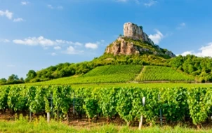 Photo Circuit touristique dans la région des vins - Bourgogne
