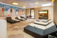 Brit_Hotel_Colmar_spa (9)