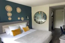 Brit-Hotel-St-Paul-Trois-Chateaux-ch-double-standard  (2)
