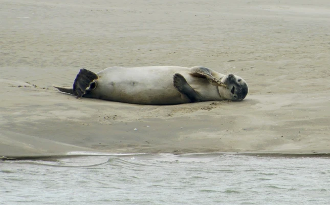 Photo Autour des 3 baies