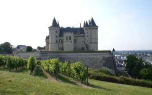 saumur-582139_1280