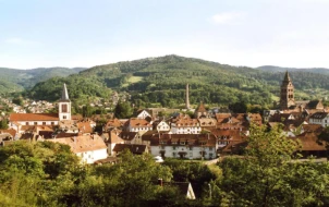 Munster_2_(Fond_d'écran)